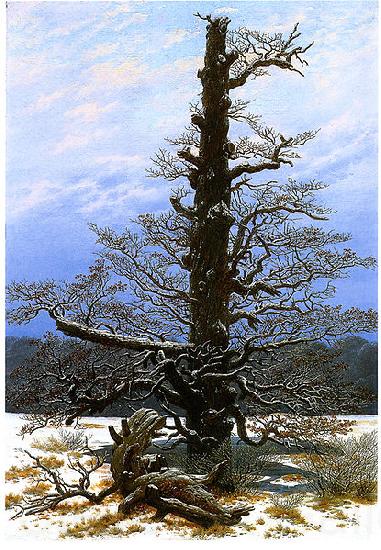 Caspar David Friedrich Oak Tree in the Snow Norge oil painting art
